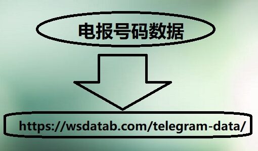 印度尼西亚电报号码数据