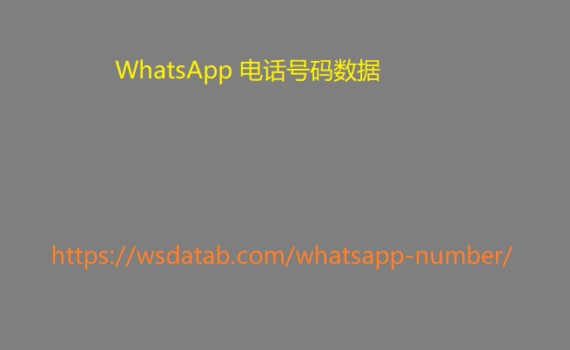 WhatsApp 电话号码数据